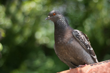 Similar image 21147505