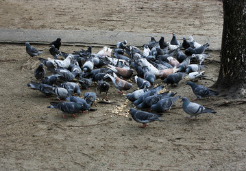 Similar image 21147506