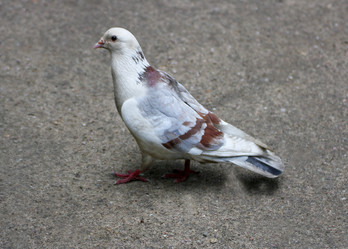 Similar image 21147507