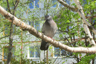 Similar image 21147508