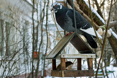 Similar image 21147509