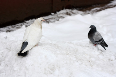 Similar image 21147510