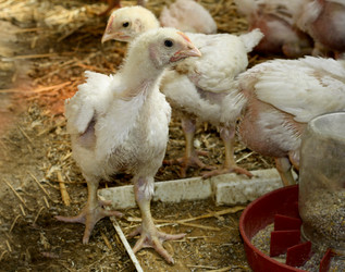 Similar image 21147519