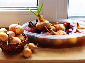 Similar image 21147521