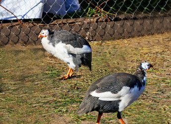 Similar image 21147523