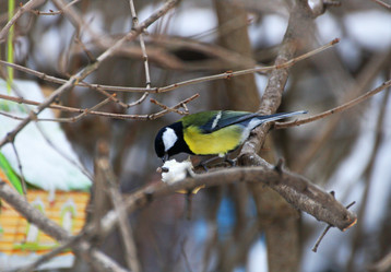 Similar image 21147525