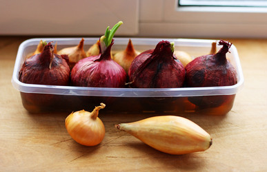 Similar image 21147528