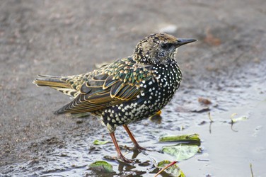 Similar image 21147531