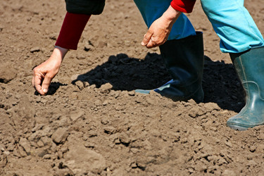 Similar image 21147534