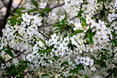 Similar image 21147536