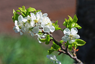 Similar image 21147538