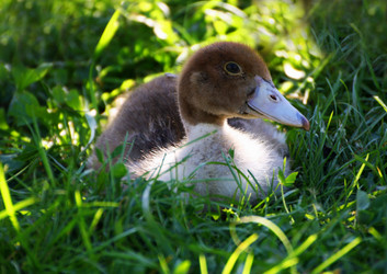 Similar image 21147540