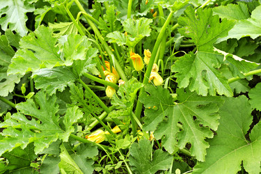 Similar image 21148292