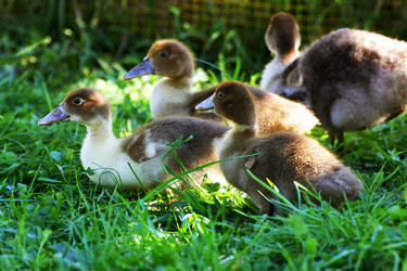 Similar image 21148294