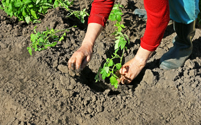 Similar image 21148295