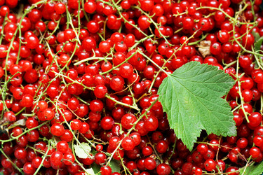 Similar image 21148303