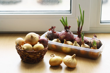 Similar image 21148305