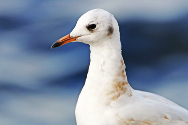 Similar image 21148306