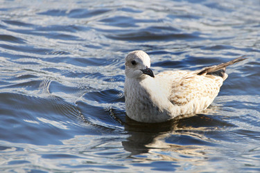 Similar image 21148307