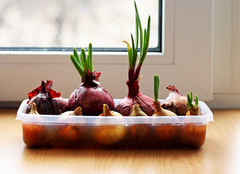 Similar image 21148310