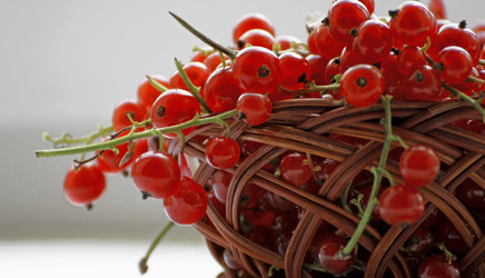 Similar image 21148311