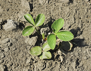 Similar image 21148327