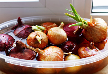 Similar image 21148328