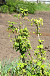 Similar image 21148329