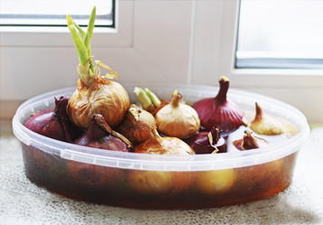 Similar image 21148330