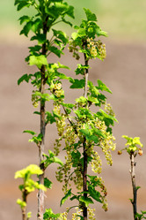 Similar image 21148331