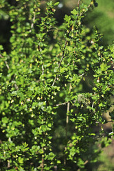 Similar image 21148358