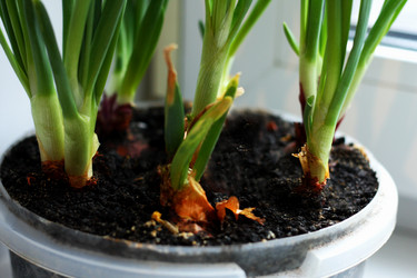 Similar image 21148359