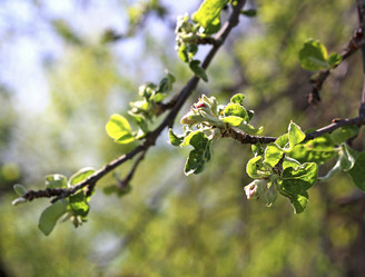 Similar image 21148360