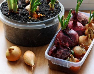 Similar image 21148361