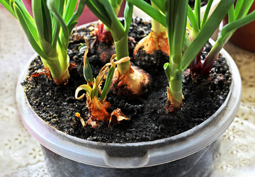 Similar image 21148363