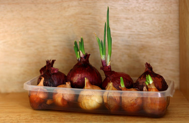 Similar image 21148364