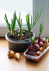 Similar image 21148365