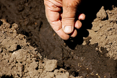 Similar image 21148367