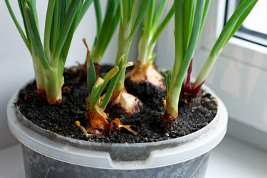 Similar image 21148368