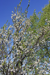 Similar image 21148390