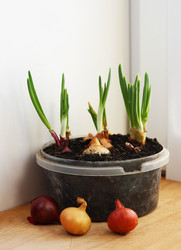 Similar image 21148391