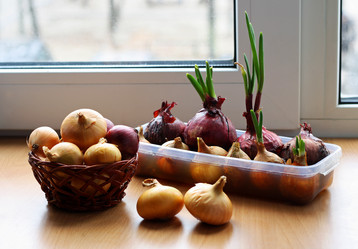 Similar image 21148392