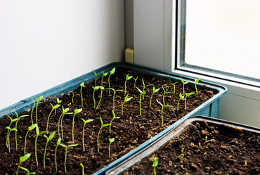 Similar image 21148393