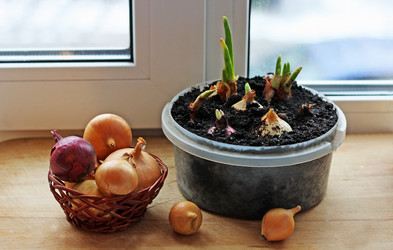 Similar image 21148796