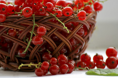 Similar image 21148798