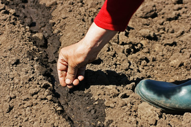 Similar image 21148800