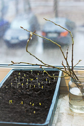 Similar image 21148801