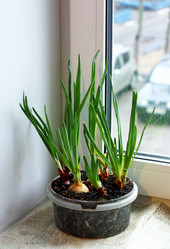 Similar image 21148802