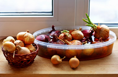 Similar image 21148805