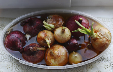 Similar image 21148806